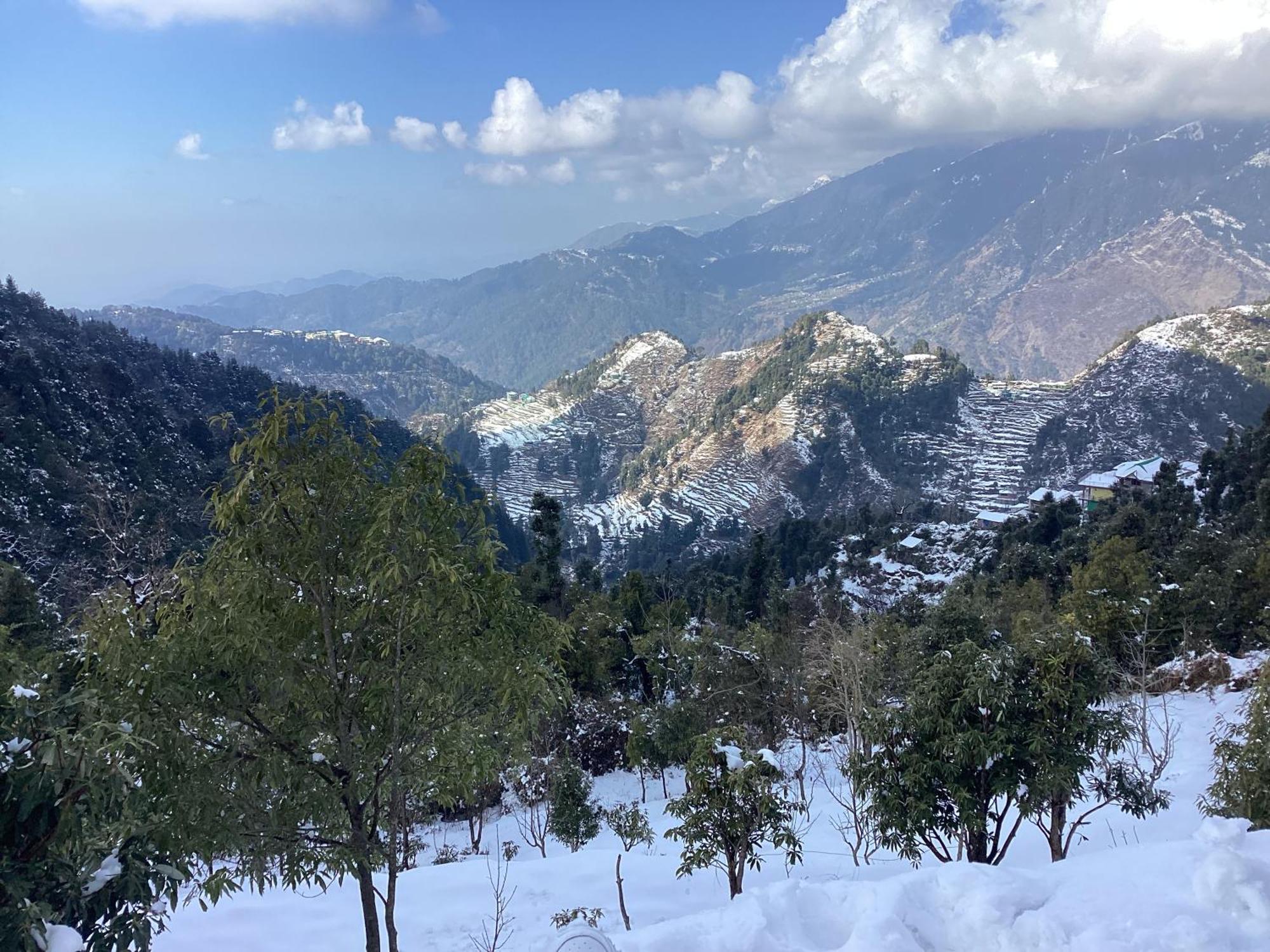 Pine Cottage McLeod Ganj Extérieur photo