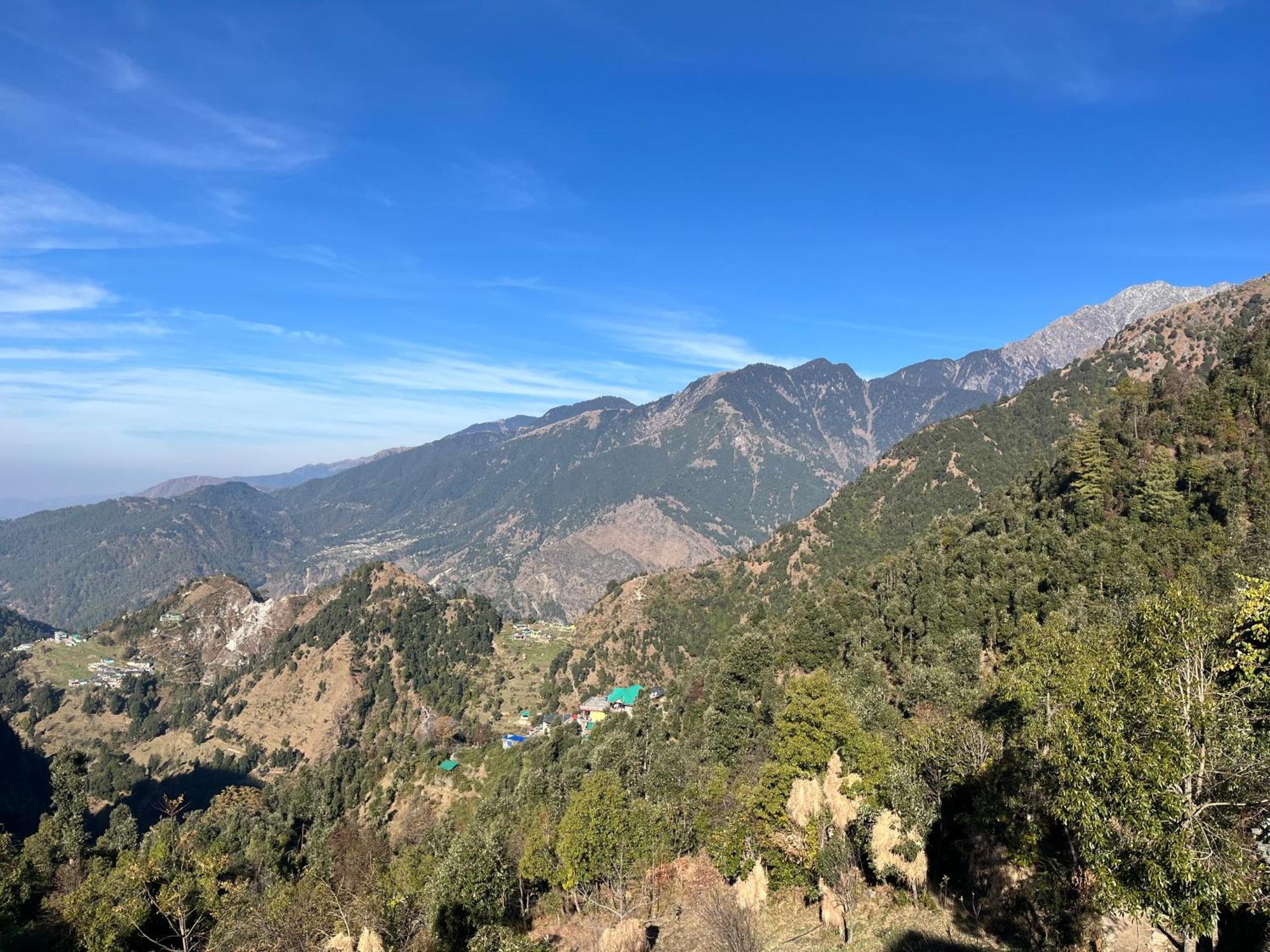Pine Cottage McLeod Ganj Extérieur photo